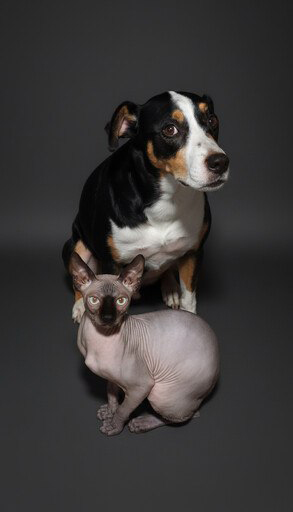 Resultado de estilo 9